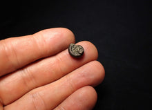 Load image into Gallery viewer, Crucilobiceras pyrite ammonite fossil (11 mm)