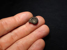 Load image into Gallery viewer, Crucilobiceras pyrite ammonite fossil (14 mm)