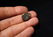 Load image into Gallery viewer, Crucilobiceras pyrite ammonite fossil (18 mm)