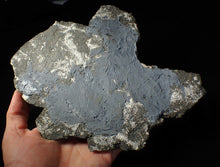 Load image into Gallery viewer, Large uncommon pyrite crinoid head Pentacrinites (222 mm)