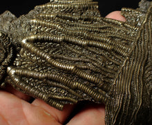 Load image into Gallery viewer, Large and rare highly detailed 3D pyrite crinoid fossil head (130 mm)