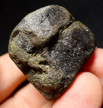 Load image into Gallery viewer, Jurassic double ichthyosaur vertebrae from Lyme Regis (34mm)
