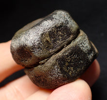 Load image into Gallery viewer, Jurassic double ichthyosaur vertebrae from Lyme Regis (34mm)