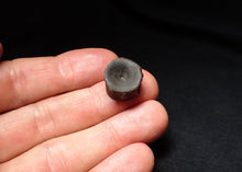 Load image into Gallery viewer, Jurassic ichthyosaur bone (vertebra) from Lyme Regis (15mm)