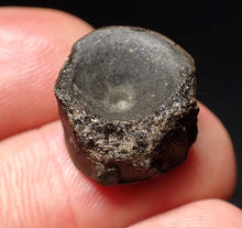 Load image into Gallery viewer, Jurassic ichthyosaur bone (vertebra) from Lyme Regis (15mm)