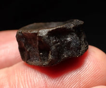 Load image into Gallery viewer, Jurassic ichthyosaur bone (vertebra) from Lyme Regis (19mm)