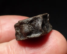 Load image into Gallery viewer, Jurassic ichthyosaur bone (vertebra) from Lyme Regis (19mm)