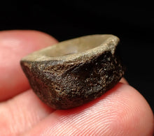 Load image into Gallery viewer, Jurassic ichthyosaur bone (vertebra) from Lyme Regis (21mm)