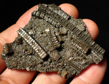 Load image into Gallery viewer, Detailed crinoid fossil (70 mm)