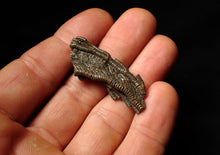 Load image into Gallery viewer, Detailed crinoid head fossil (43 mm)