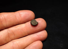 Load image into Gallery viewer, Tiny Crucilobiceras pyrite ammonite fossil (11 mm)