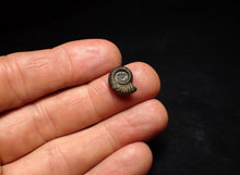 Load image into Gallery viewer, Little Crucilobiceras pyrite ammonite fossil (13 mm)