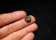 Load image into Gallery viewer, Little Crucilobiceras pyrite ammonite fossil (13 mm)