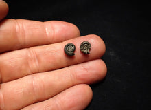 Load image into Gallery viewer, Matched pair of tiny Crucilobiceras pyrite ammonite fossils (10 mm)
