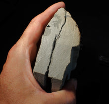 Load image into Gallery viewer, "Popped" 28mm calcite Promicroceras ammonite fossil display piece