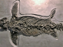 Load image into Gallery viewer, Replica prone <em>Ichthyosaurus communis</em> from Lyme Regis