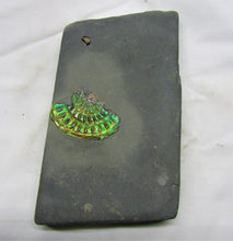 Load image into Gallery viewer, Green iridescent Caloceras display ammonite