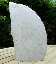 Load image into Gallery viewer, Large <em>Asteroceras obtusum</em> display ammonite