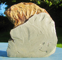 Load image into Gallery viewer, Large <em>Asteroceras stellare</em> display ammonite