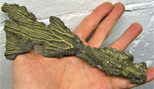 Load image into Gallery viewer, Complete pyrite crinoid (193 mm)