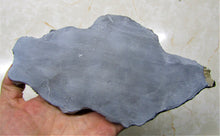 Load image into Gallery viewer, Rare big complete crinoid on driftwood fossil (200 mm)