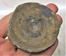 Load image into Gallery viewer, Large Jurassic ichthyosaur vertebra from Lyme Regis