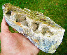 Load image into Gallery viewer, Large <em>Asteroceras stellare</em> polished ammonite display piece