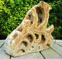 Load image into Gallery viewer, Large <em>Asteroceras stellare</em> polished ammonite display piece