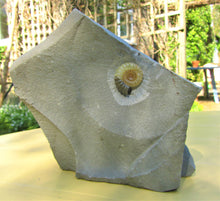 Load image into Gallery viewer, "Popped" calcite Promicroceras ammonite display piece