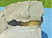 Load image into Gallery viewer, "Popped" <em>Asteroceras obtusum</em> ammonite (50 mm)