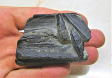 Load image into Gallery viewer, Ichthyosaur jaw with teeth from Lyme Regis