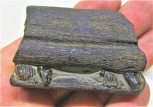 Load image into Gallery viewer, Ichthyosaur jaw with teeth from Lyme Regis