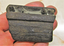 Load image into Gallery viewer, Ichthyosaur jaw with teeth from Lyme Regis