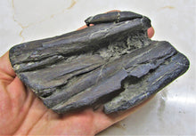 Load image into Gallery viewer, Stunning 3D Ichthyosaur jaws with teeth from Charmouth