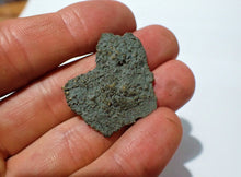 Load image into Gallery viewer, Detailed juvenile pyrite crinoid fossil head (35 mm)