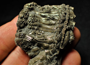 Detailed chunky pyrite crinoid fossil (78 mm)