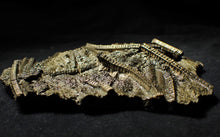 Load image into Gallery viewer, Large stunningly detailed 3D pyrite crinoid fossil (145 mm)