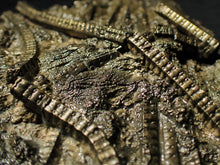 Load image into Gallery viewer, Large stunningly detailed 3D pyrite crinoid fossil (145 mm)