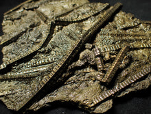 Load image into Gallery viewer, Large stunningly detailed 3D pyrite crinoid fossil (145 mm)