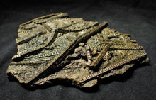 Load image into Gallery viewer, Large stunningly detailed 3D pyrite crinoid fossil (145 mm)