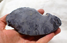 Load image into Gallery viewer, Large golden pyrite crinoid head (143 mm) <em>Pentacrinites</em>