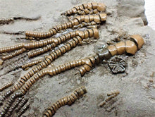 Load image into Gallery viewer, Rare crinoid head in shale display fossil