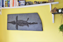 Load image into Gallery viewer, Replica prone <em>Ichthyosaurus communis</em> from Lyme Regis