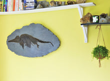 Load image into Gallery viewer, Replica juvenile Ichthyosaurus communis from Lyme Regis