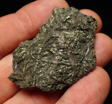 Load image into Gallery viewer, Detailed pyrite crinoid fossil (48 mm) Pentacrinites
