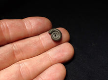 Load image into Gallery viewer, Crucilobiceras pyrite ammonite fossil (13 mm)
