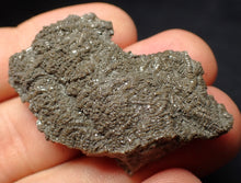 Load image into Gallery viewer, Detailed 3D crinoid stems fossil (45 mm) Pentacrinites
