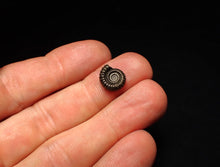 Load image into Gallery viewer, Crucilobiceras pyrite ammonite fossil (12 mm)
