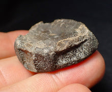 Load image into Gallery viewer, Jurassic ichthyosaur bone (vertebra) from Lyme Regis (36mm)
