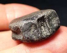 Load image into Gallery viewer, Jurassic ichthyosaur bone (vertebra) from Lyme Regis (27mm)
